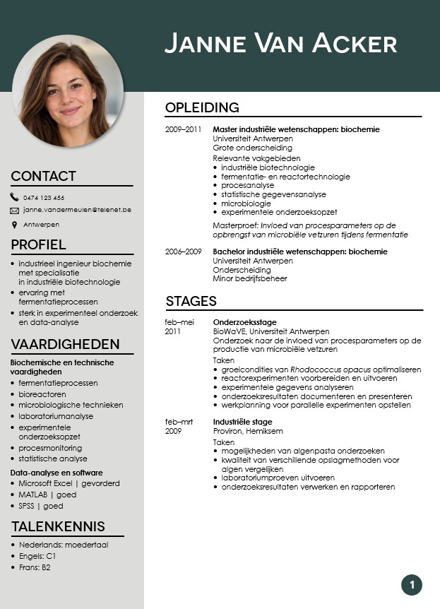 Eerste pagina van een achronologisch cv