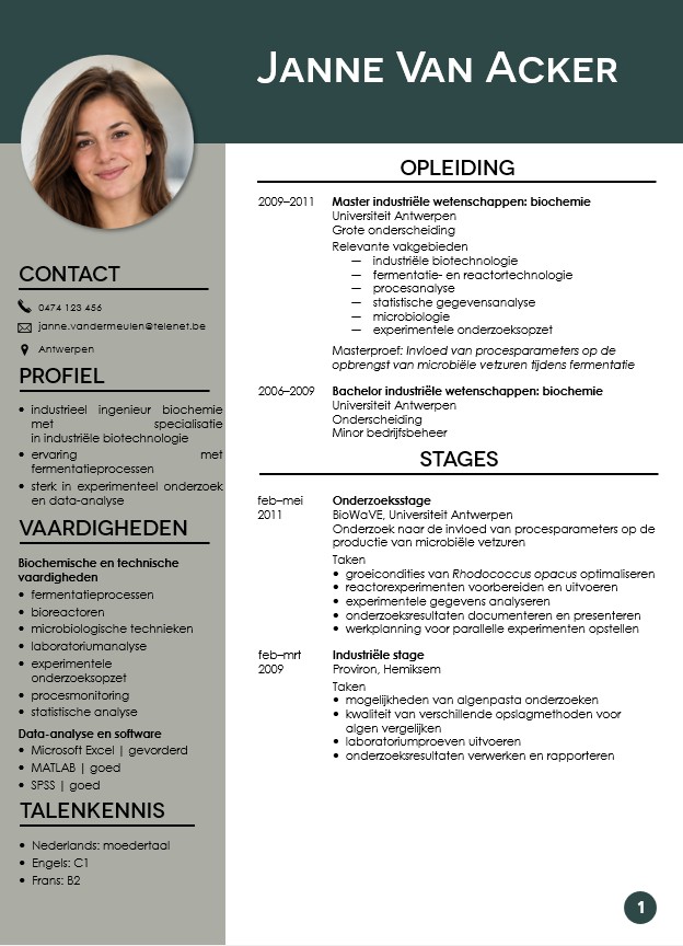 Minder geslaagde opmaak van het achronologische cv