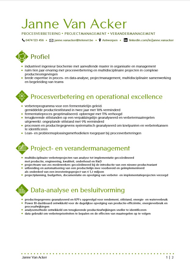 Eerste pagina van een functioneel cv