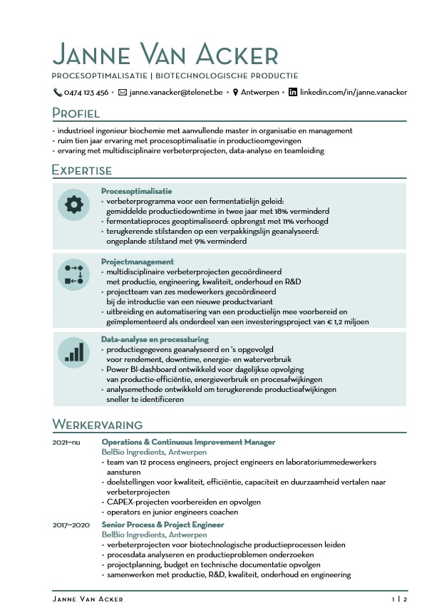 Eerste pagina van een hybride cv