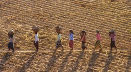 Microfinance