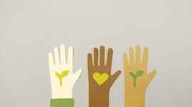 Environmental Mobility and Solidarity