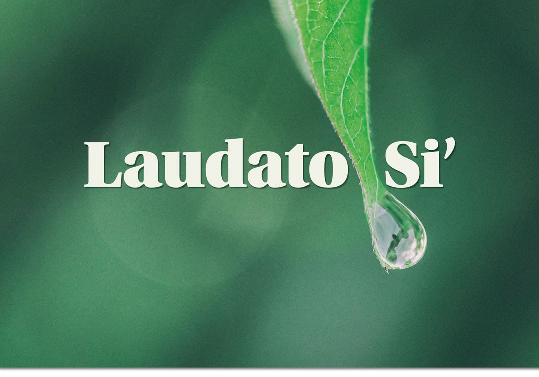 Laudato Si'