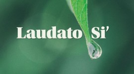 Laudato si